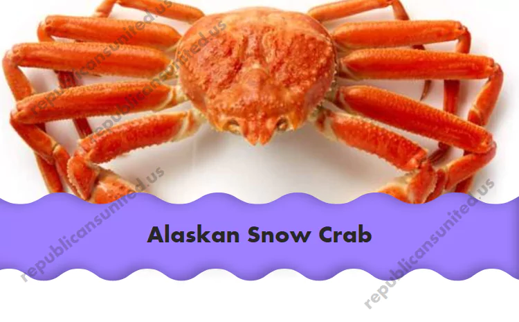 Alaskan Snow Crab: Tale of Billions Lost and Conservation Gained