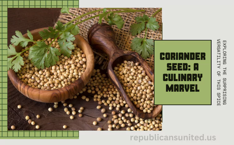Coriander Seed: Culinary Marvel That Goes Beyond the Basics