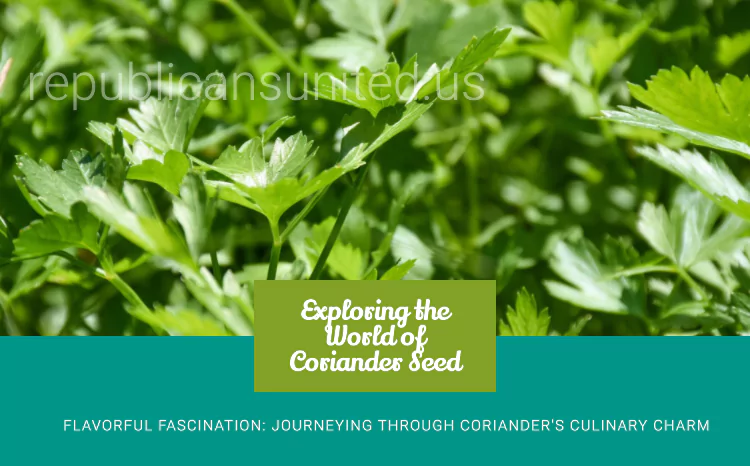 Exploring the World of Coriander Seed